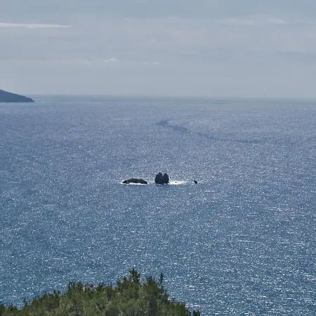 Large By The Pool - Beach, Corfu Appartamento Pelekas